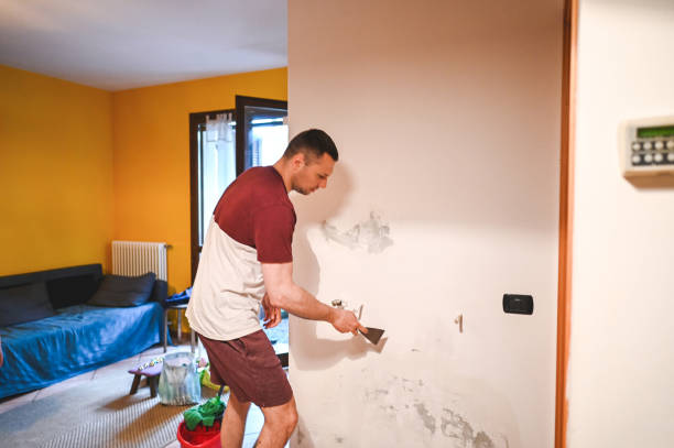 Best Localized Mold Remediation (e.g., coastal areas, humid climates) in Grayvle, IL
